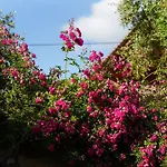 Inn La Romantica De Llano Valencia de Alcántara