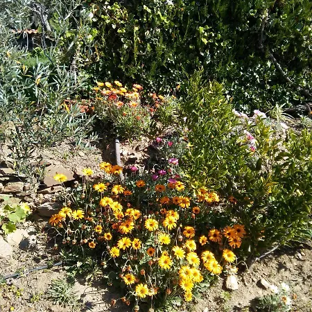 بيت ريفي La Romantica De Llano Valencia de Alcántara