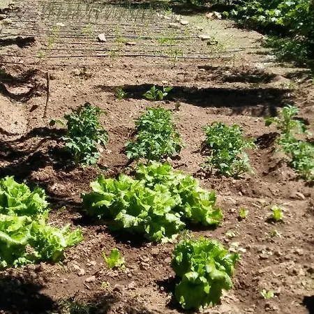 La Romantica De Llano بيت ريفي