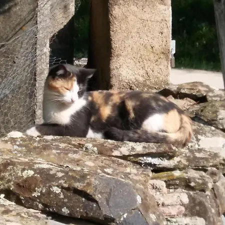 La Romantica De Llano Valencia de Alcantara