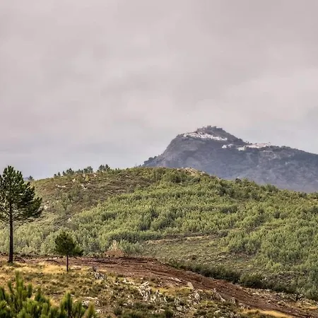 La Romantica De Llano *