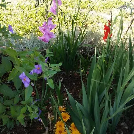 La Romantica De Llano Valencia de Alcantara