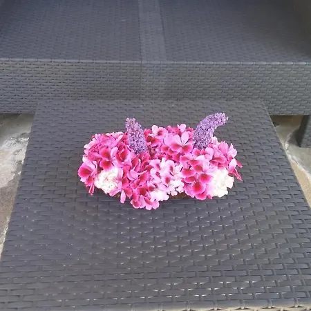 La Romantica De Llano *