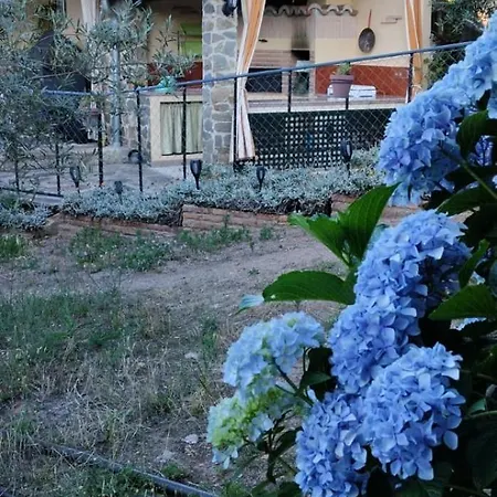 La Romantica De Llano Inn Valencia de Alcántara