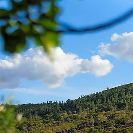 La Romantica De Llano