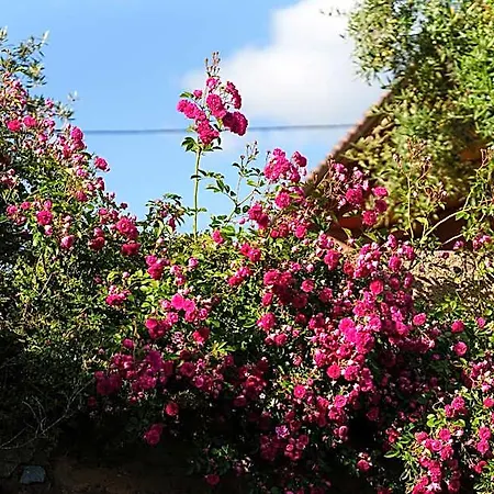 La Romantica De Llano Valencia de Alcántara