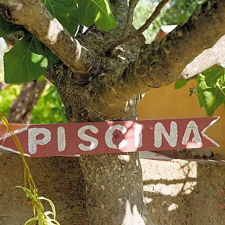 La Romantica De Llano *