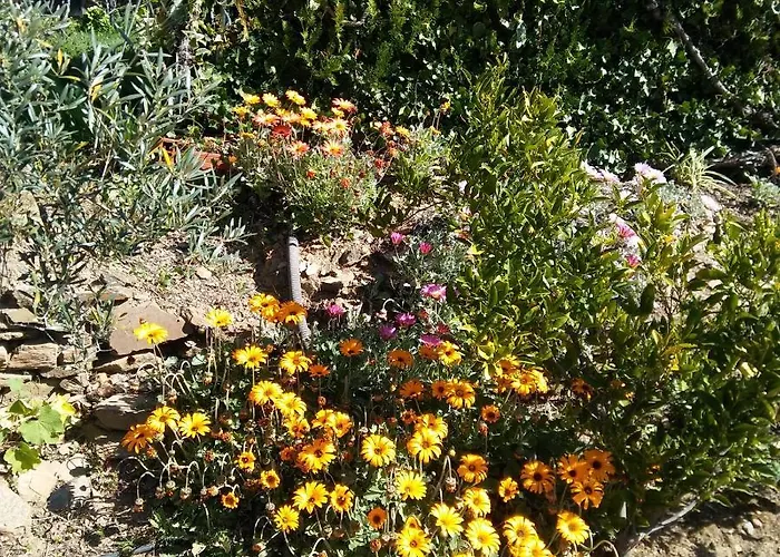 אורחן La Romantica De Llano Valencia de Alcántara