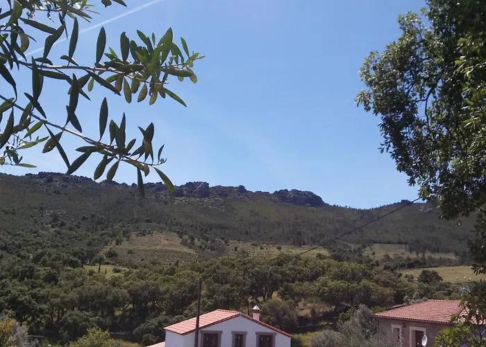 אורחן La Romantica De Llano *