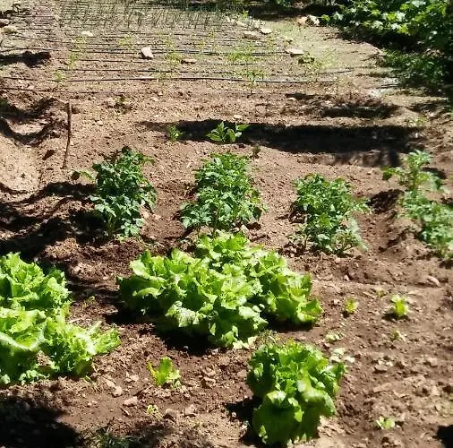 La Romantica De Llano Fogadó