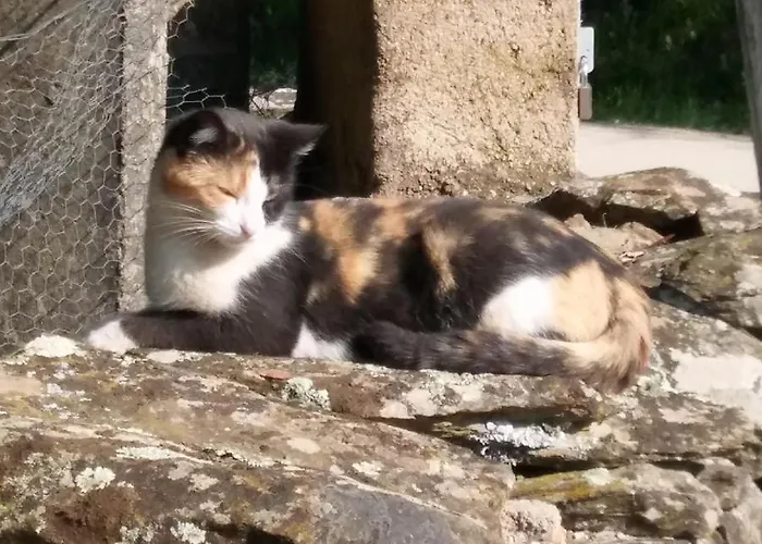 La Romantica De Llano Valencia de Alcántara