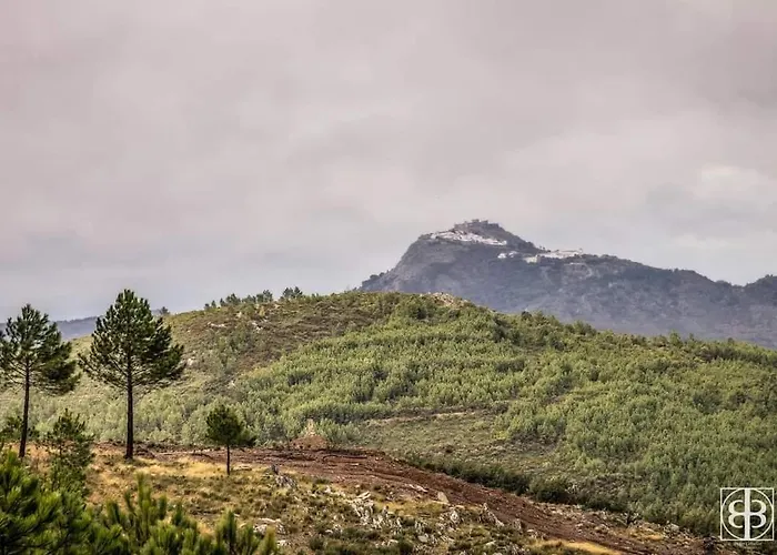 La Romantica De Llano *