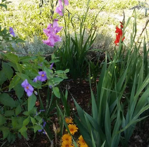 La Romantica De Llano Valencia de Alcántara