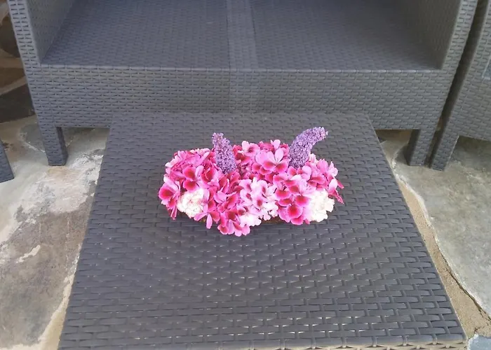 La Romantica De Llano *